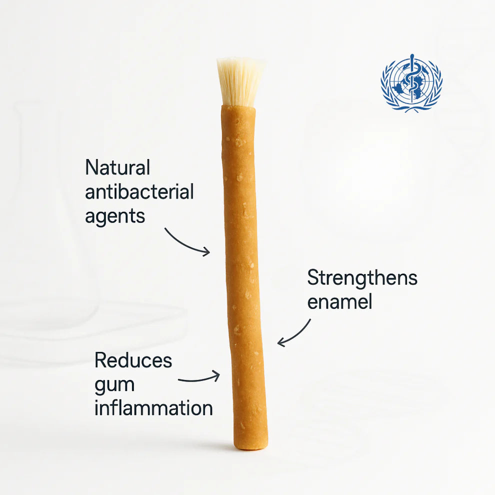 Chewing Tooth Stick