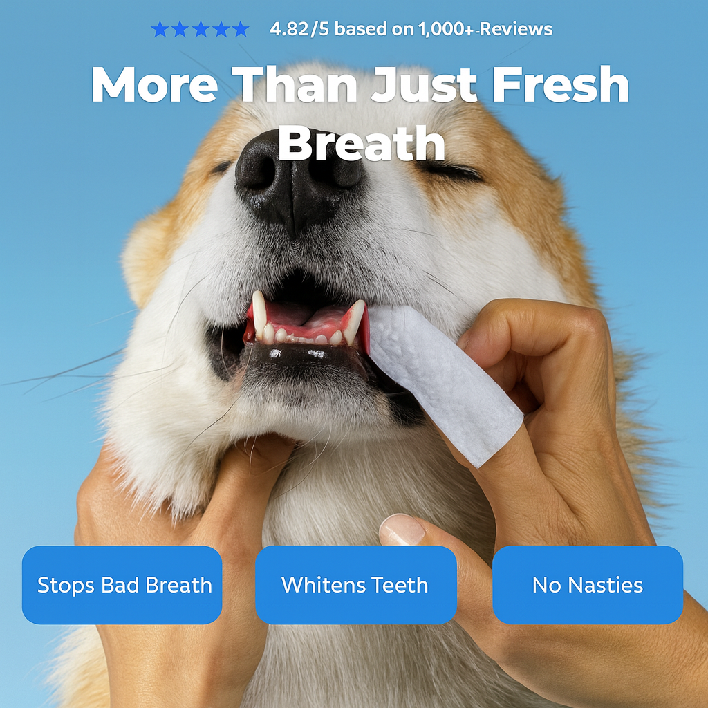 Pet teeth cleaning finger wipes