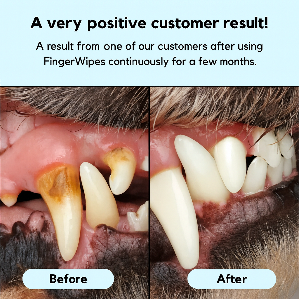 Pet teeth cleaning finger wipes
