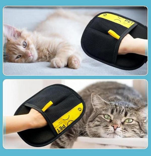 Lint Remover Glove