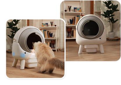 Automatic Smart Cat Litter Box
