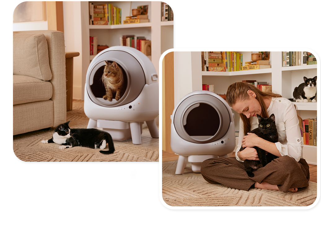 Automatic Smart Cat Litter Box