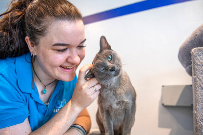 Automatic Smart Cat Litter Box