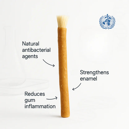 Chewing Tooth Stick