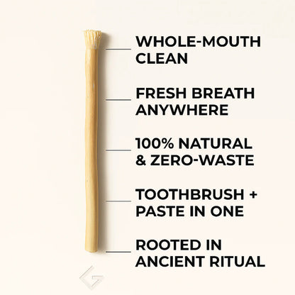 Chewing Tooth Stick