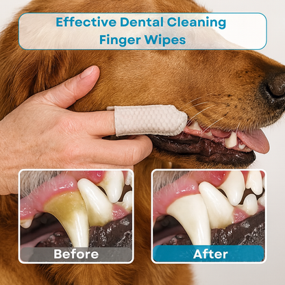 Pet teeth cleaning finger wipes