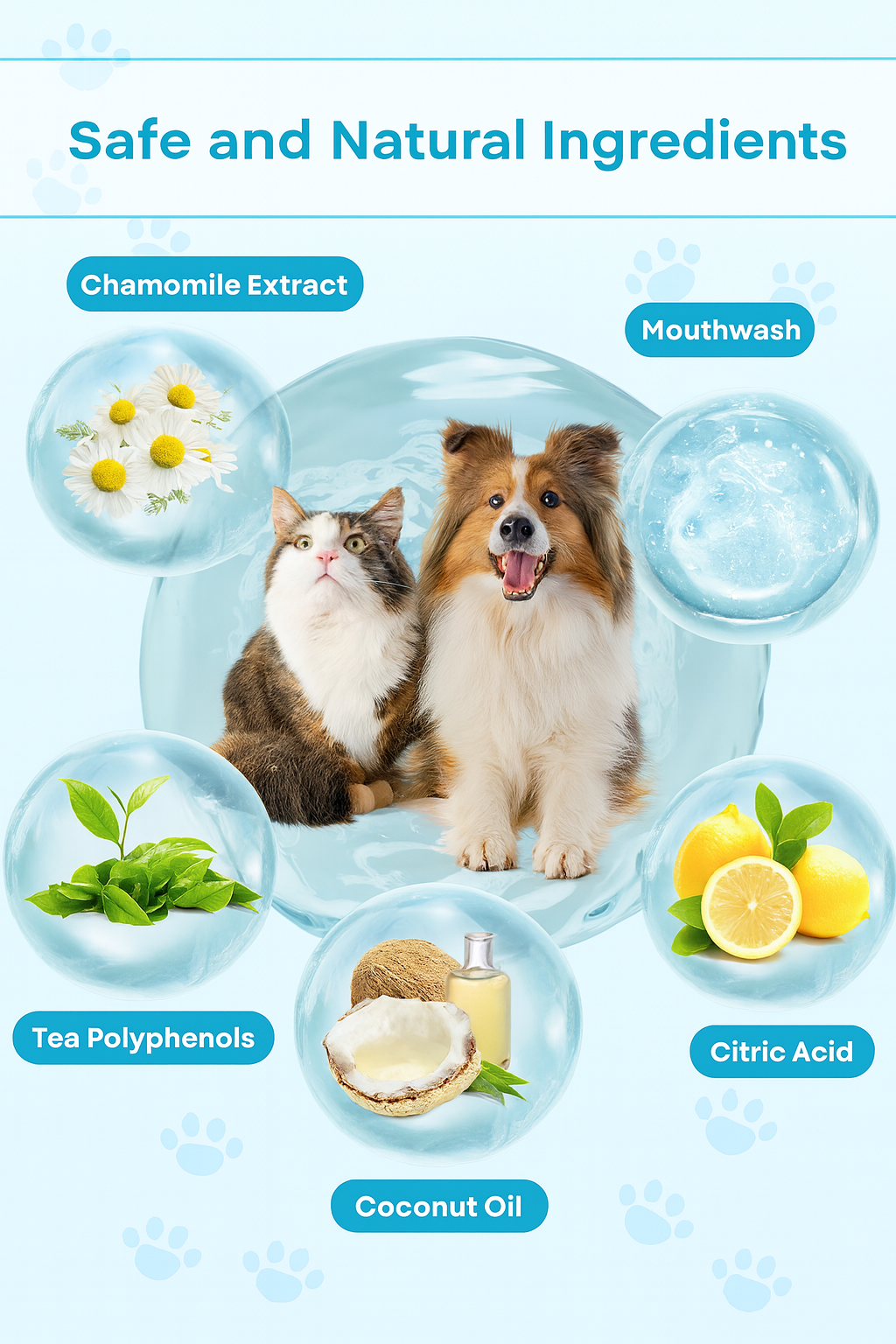 Pet teeth cleaning finger wipes