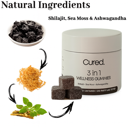 3 in 1 Wellness Gummies