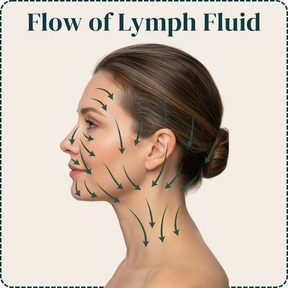 Lymphatic Face Brush