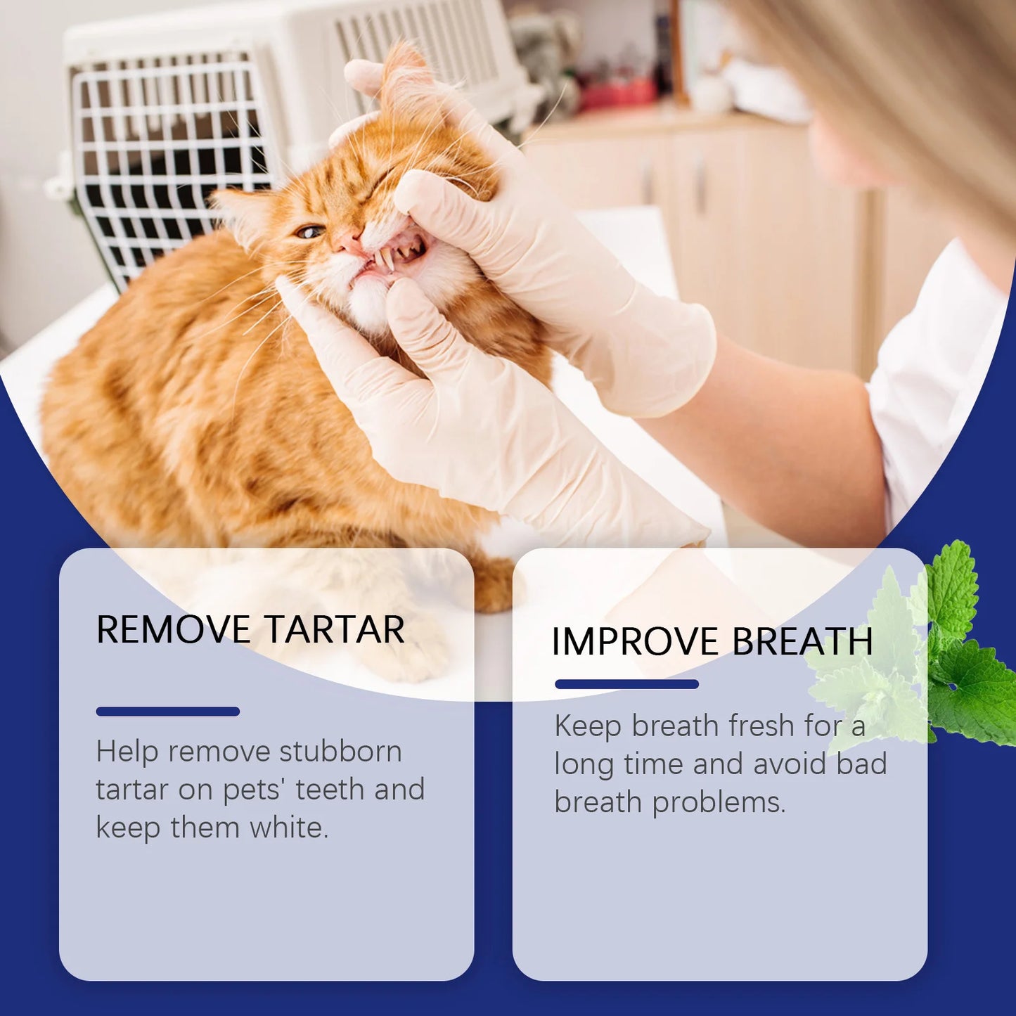 Pet Smile Dental Powder